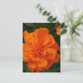 製品カスタマイズ ポストカード (スタンド正面)