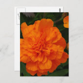 製品カスタマイズ ポストカード (正面/裏面)