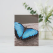 製品カスタマイズ ポストカード (スタンド正面)