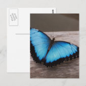 製品カスタマイズ ポストカード (正面/裏面)