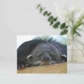 製品カスタマイズ ポストカード (スタンド正面)