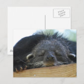 製品カスタマイズ ポストカード (正面/裏面)