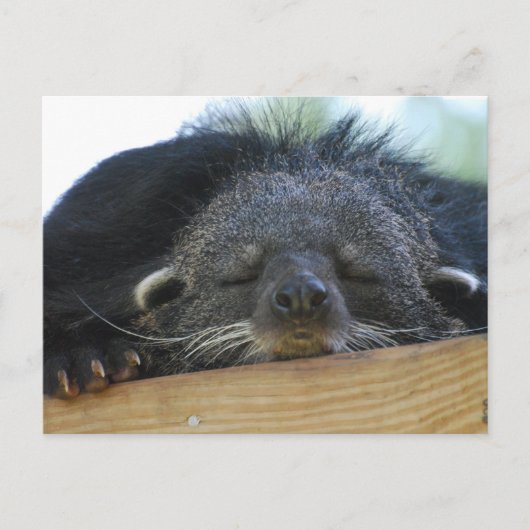 製品カスタマイズ ポストカード (正面)