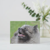 製品カスタマイズ ポストカード (スタンド正面)