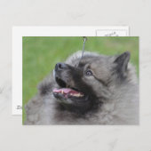 製品カスタマイズ ポストカード (正面/裏面)