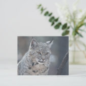 製品カスタマイズ ポストカード (スタンド正面)