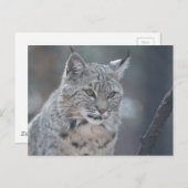 製品カスタマイズ ポストカード (正面/裏面)