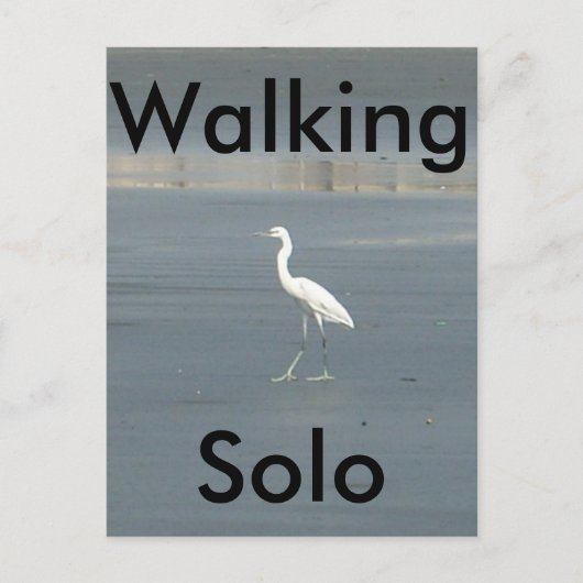 製品カスタマイズ ポストカード (正面)