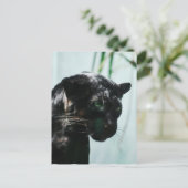 製品カスタマイズ ポストカード (スタンド正面)