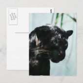 製品カスタマイズ ポストカード (正面/裏面)