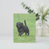 製品カスタマイズ ポストカード (スタンド正面)