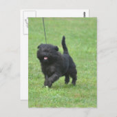 製品カスタマイズ ポストカード (正面/裏面)