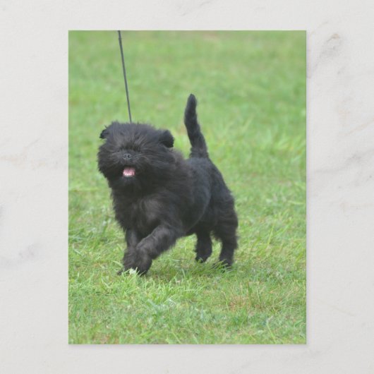 製品カスタマイズ ポストカード (正面)