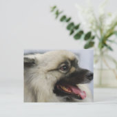 製品カスタマイズ ポストカード (スタンド正面)