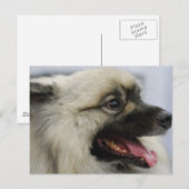 製品カスタマイズ ポストカード (正面/裏面)