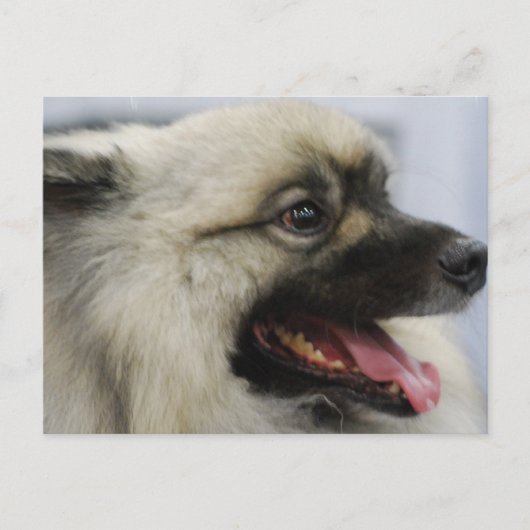 製品カスタマイズ ポストカード (正面)