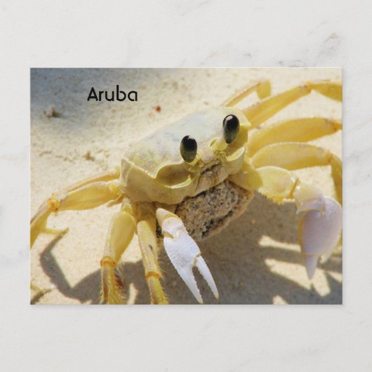 製品カスタマイズ ポストカード (正面)