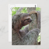 製品カスタマイズ ポストカード (正面/裏面)