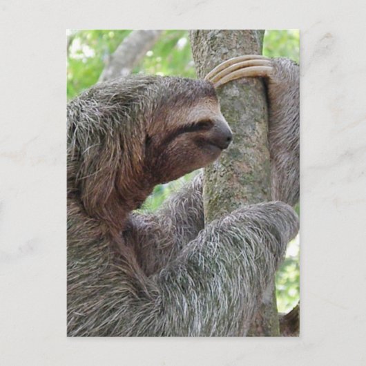 製品カスタマイズ ポストカード (正面)