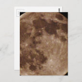 製品カスタマイズ ポストカード (正面/裏面)