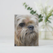 製品カスタマイズ ポストカード (スタンド正面)