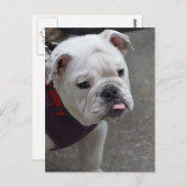 製品カスタマイズ ポストカード (正面/裏面)