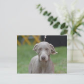 製品カスタマイズ ポストカード (スタンド正面)