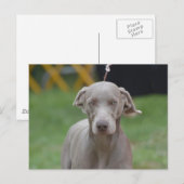 製品カスタマイズ ポストカード (正面/裏面)