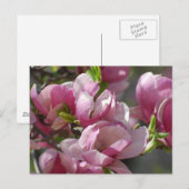 製品カスタマイズ ポストカード (正面/裏面)