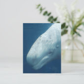 製品カスタマイズ ポストカード (スタンド正面)