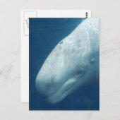 製品カスタマイズ ポストカード (正面/裏面)