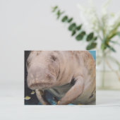 製品カスタマイズ ポストカード (スタンド正面)