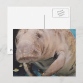 製品カスタマイズ ポストカード (正面/裏面)