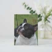 製品カスタマイズ ポストカード (スタンド正面)