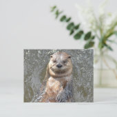 製品カスタマイズ ポストカード (スタンド正面)