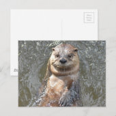 製品カスタマイズ ポストカード (正面/裏面)