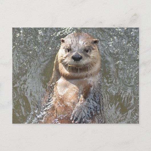 製品カスタマイズ ポストカード (正面)