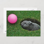 製品カスタマイズ ポストカード (正面/裏面)