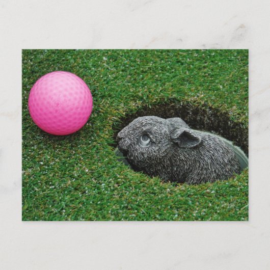 製品カスタマイズ ポストカード (正面)