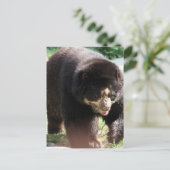 製品カスタマイズ ポストカード (スタンド正面)