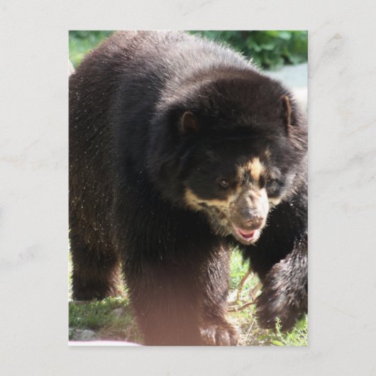 製品カスタマイズ ポストカード (正面)