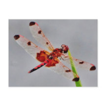 製品カスタマイズ