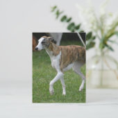 製品カスタマイズ ポストカード (スタンド正面)