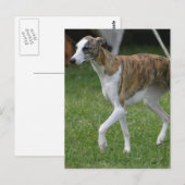 製品カスタマイズ ポストカード (正面/裏面)