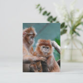 製品カスタマイズ ポストカード (スタンド正面)