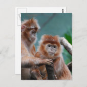 製品カスタマイズ ポストカード (正面/裏面)