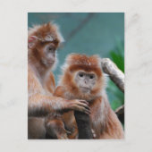 製品カスタマイズ ポストカード (正面)