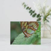 製品カスタマイズ ポストカード (スタンド正面)