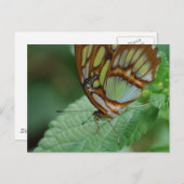 製品カスタマイズ ポストカード (正面/裏面)