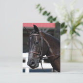 製品カスタマイズ ポストカード (スタンド正面)